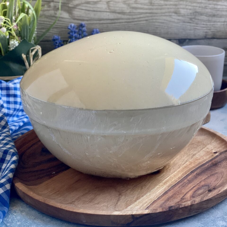 pan brioche