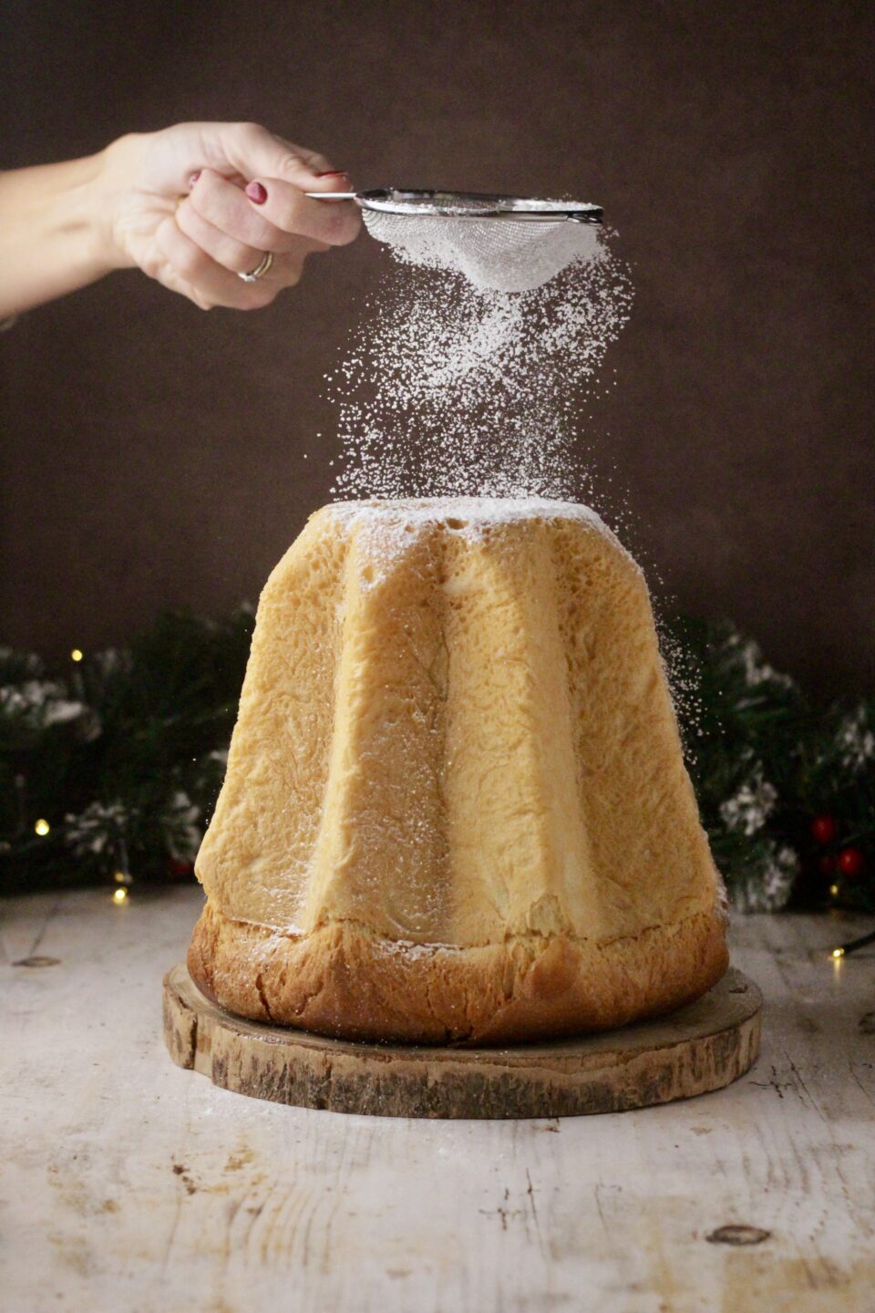 PANDORO VELOCE